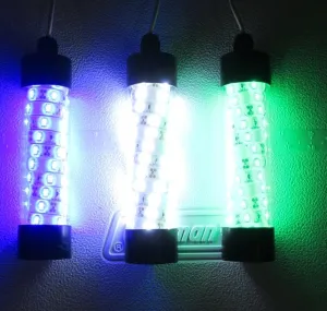 2000 Lumen - 12V LED Green, White OR Blue Underwater Submersible Night Fishing Light Crappie Squid shad Ice