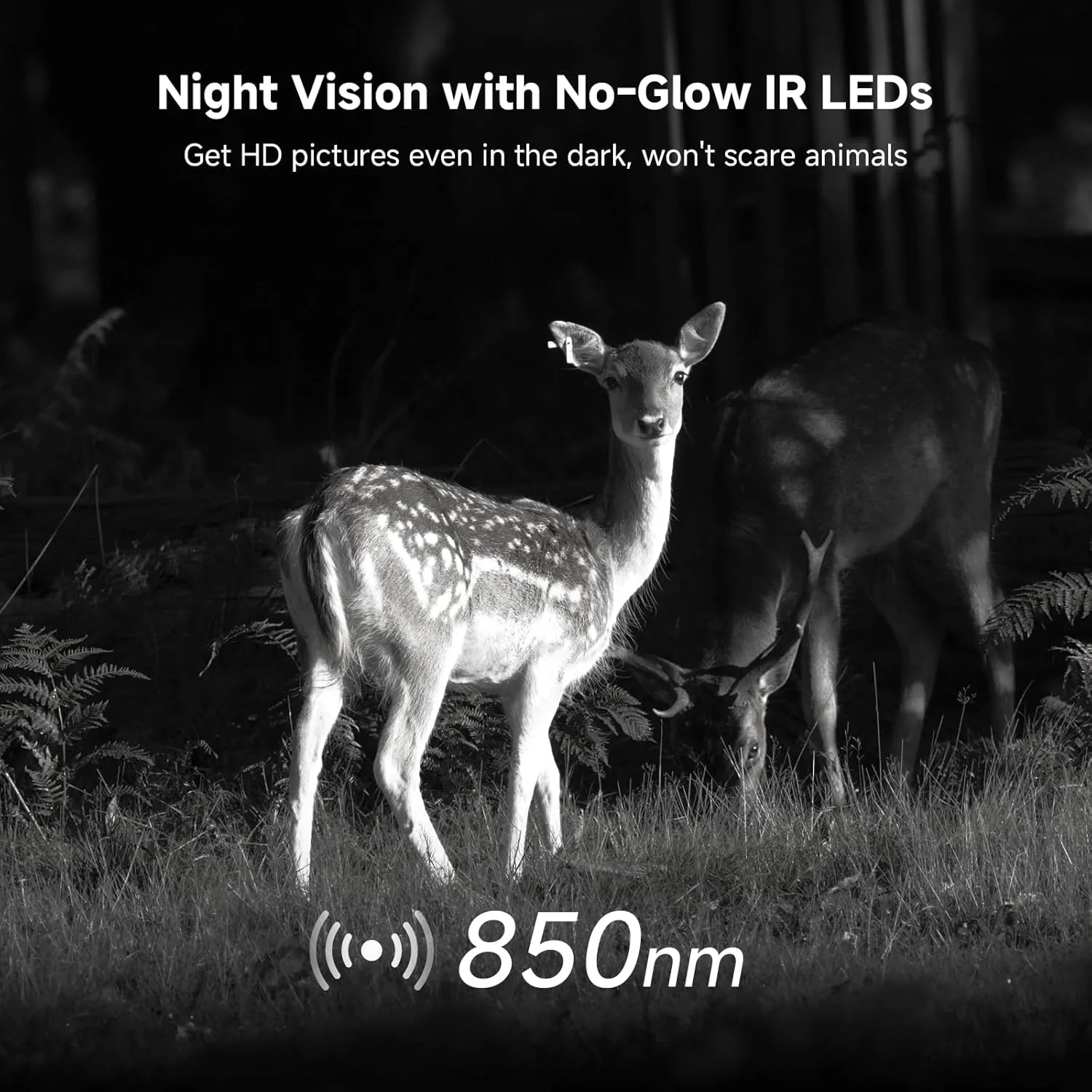 2K Cellular Trail Security Cameras, Game Camera Solar with 360° Full View, Color Night Vision, Motion Activated, Live Streaming & Playback, IP65 Waterproof(Built-in 4G SIM Card)