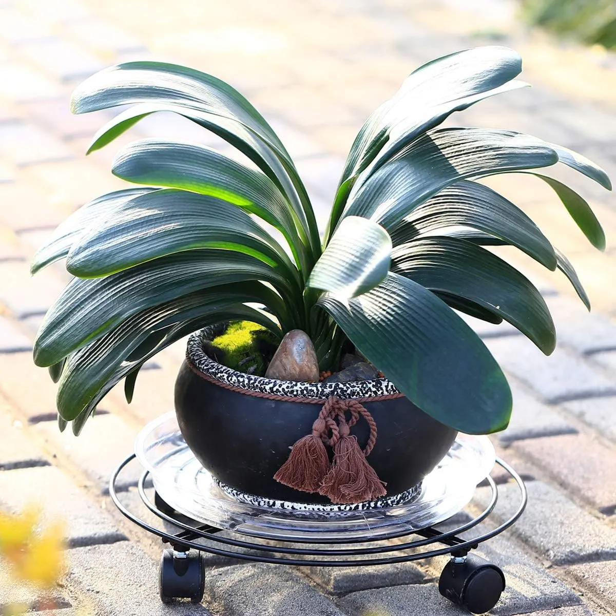8 Packs Large Metal Plant Caddy with Wheels 13" Heavy-Duty Wrought Iron Rolling Plant Stands Wheeled Plant Dolly Plant Roller Base Indoor Outdoor Planter Mover Saucers Black