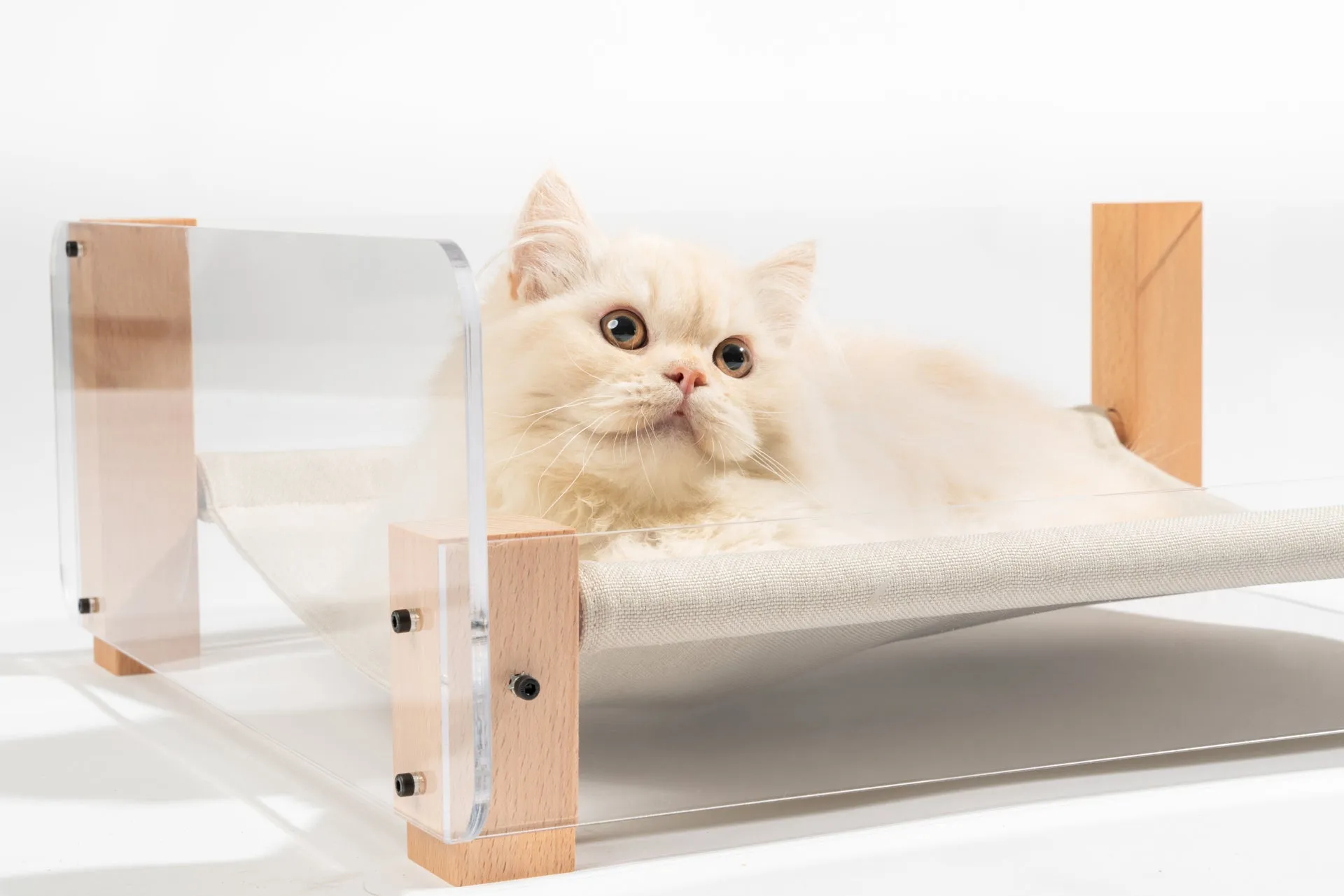 Acrylic Hammock Bed