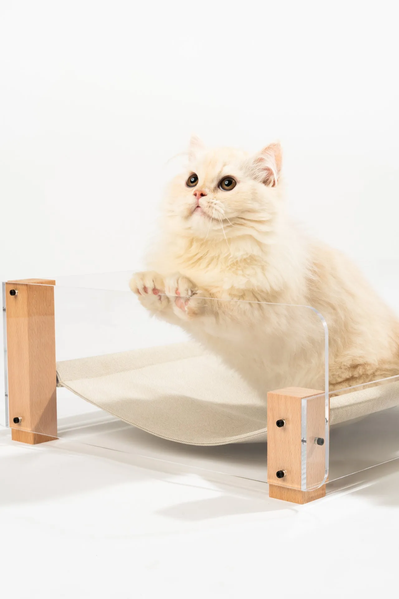 Acrylic Hammock Bed