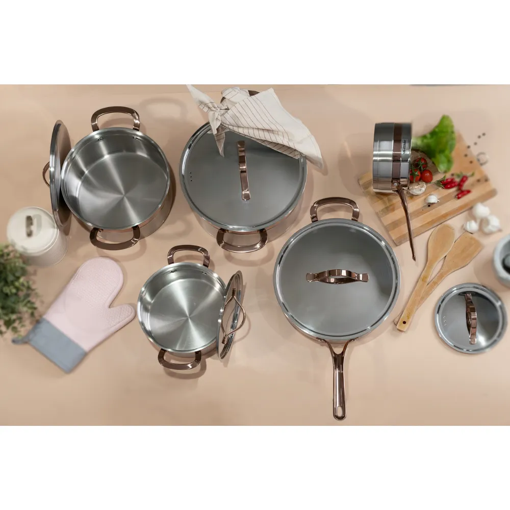 Arshia Stainless Steel Cookware Set 16Pcs Rose Gold