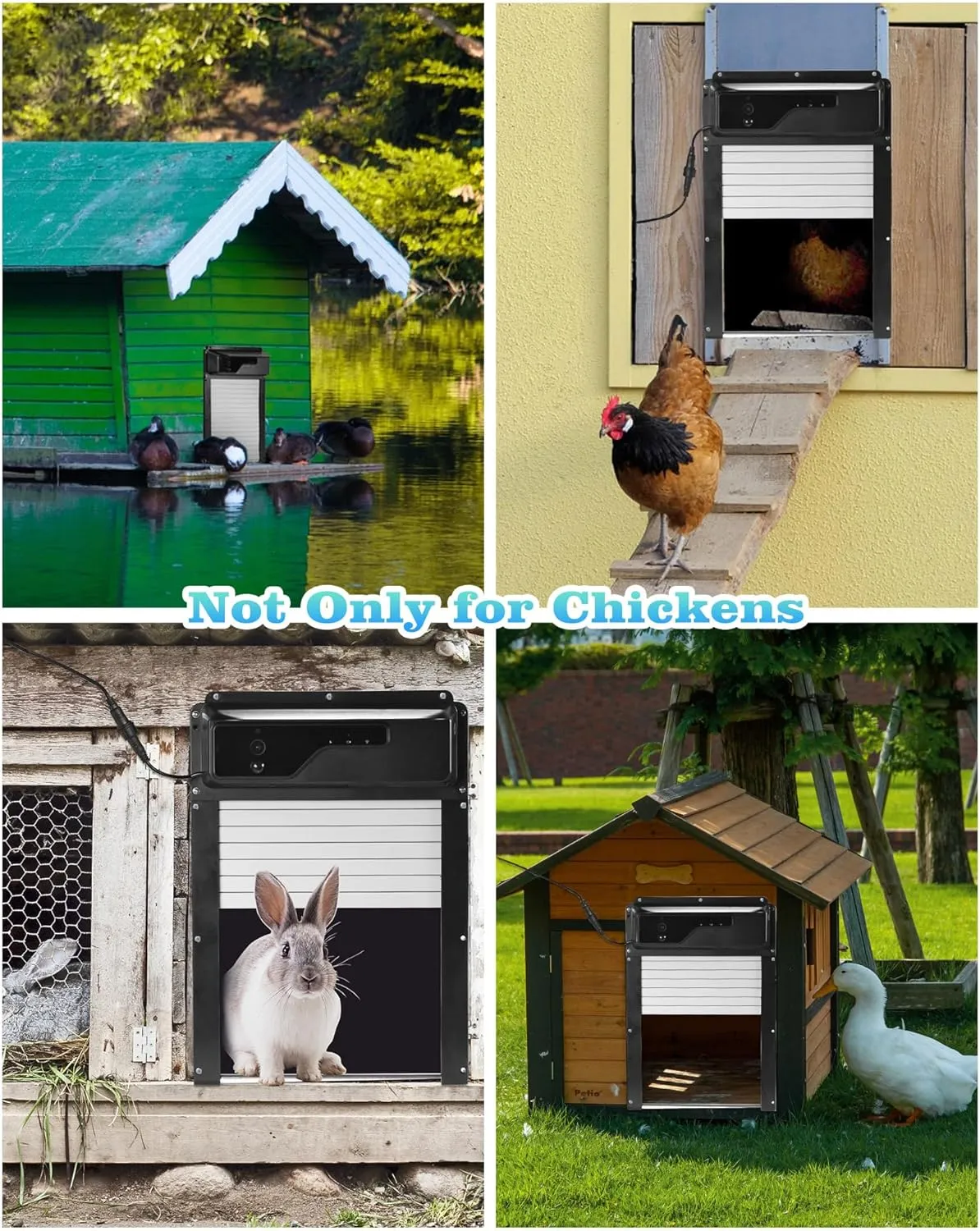 Automatic Chicken Coop Door with HD Camera, Solar Powered, 5000mAh Battery, WiFi Enabled, APP-Based Monitoring, Remote Control and Timer, with Anti-Trap Sensor and Alarm Drive(Black)