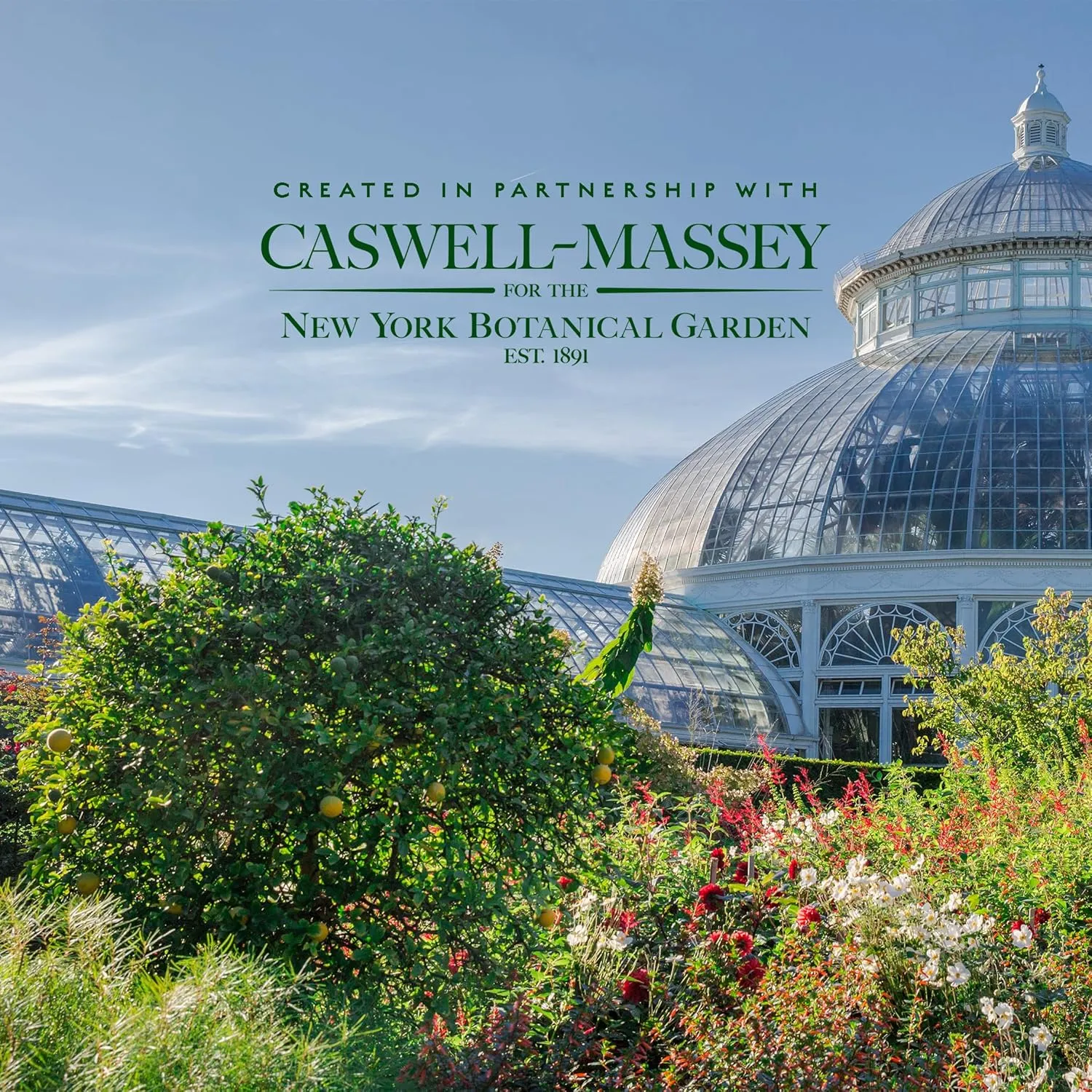 Caswell-Massey Elixir of Love Eau de Toilette Spray, Enchanting Floral Perfume for Women with Lavender, Jasmine, Passionflower & Artemisia Blend, Made in USA, 0.25 Oz