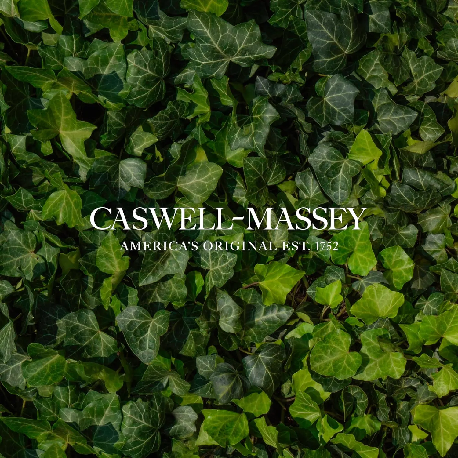 Caswell-Massey Gold Cap Newport Cologne Spray, Scents of Sandalwood, Cedar & Citrus, Fragrance For Men & Women, Made In The USA, 3 Oz