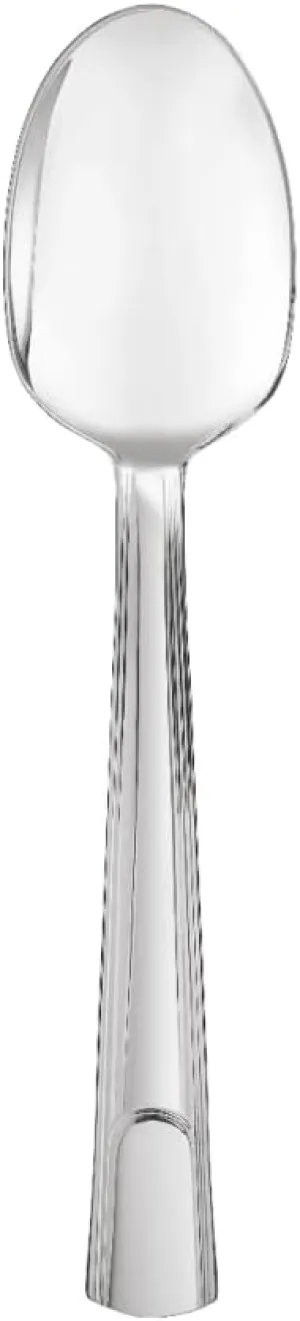 Christofle Hudson Stainless Steel Set of 6 Table Spoons #2453002