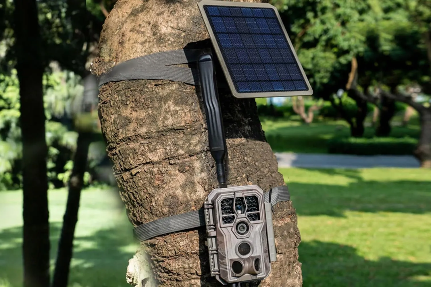 GardePro X50S Cellular Trail Camera and SP350 Solar Panel Combo - Auto-Connects to Verizon, AT&T, and T-Mobile, No-Glow IR, Full Video Preview, Fast 0.1s Trigger Speed