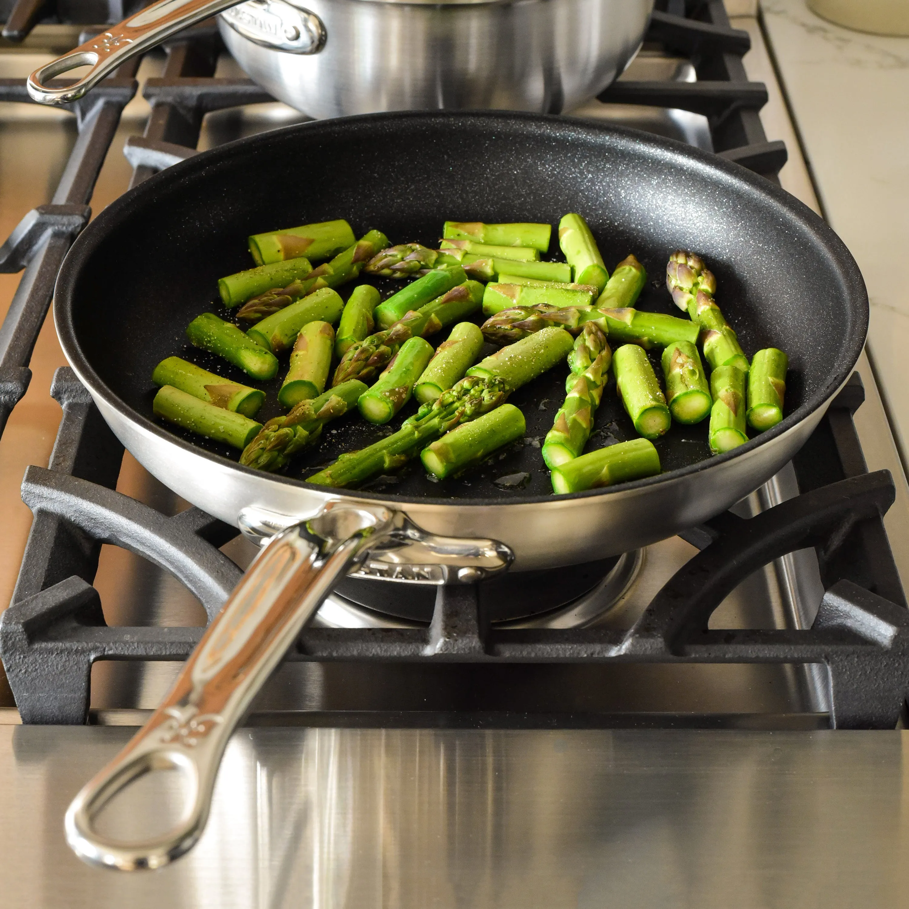 Hestan Thomas Keller Insignia 11 Piece Stainless Steel Cookware Set