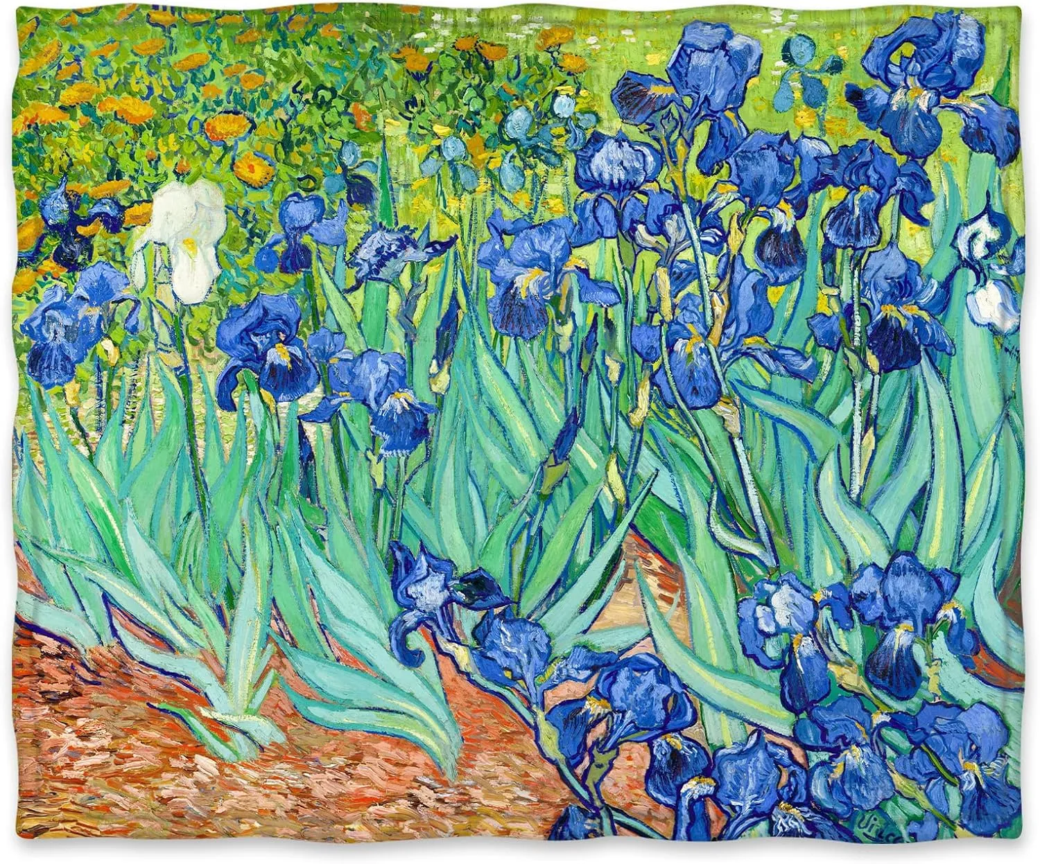 Jekeno Blanket Irises by Vincent Van Gogh Gifts for Women Kids Girls Home Bedroom Birthday Christmas Flowers Floral Decor Soft Cozy Lightweight Throw Blankets 50"x60"