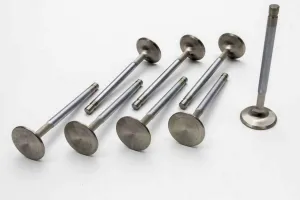 Manley Performance Manley Small Block Chevy 3/8in Stem Diameter Race Flo Intake Valves (Set of 8)