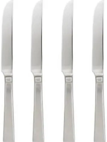 Oneida Techny for Crate & Barrel Dinner Knife, Set of 4