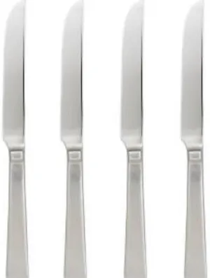 Oneida Techny for Crate & Barrel Dinner Knife, Set of 4