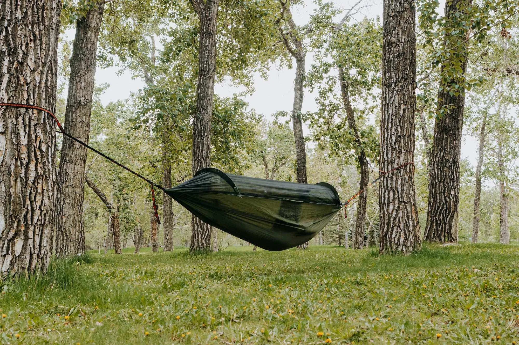 Portable Camping Hammock with Mosquito Net by YATTA