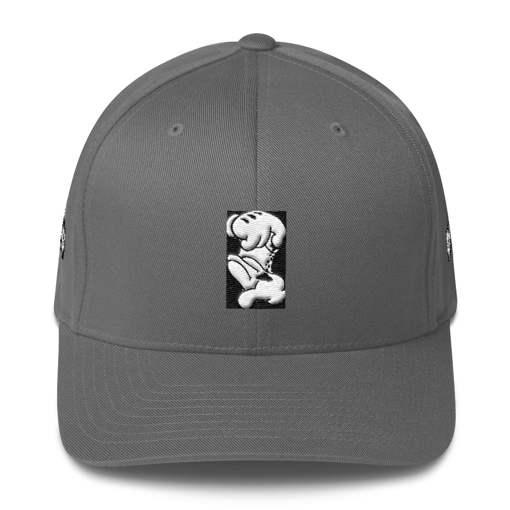 Roll up Dad Hat