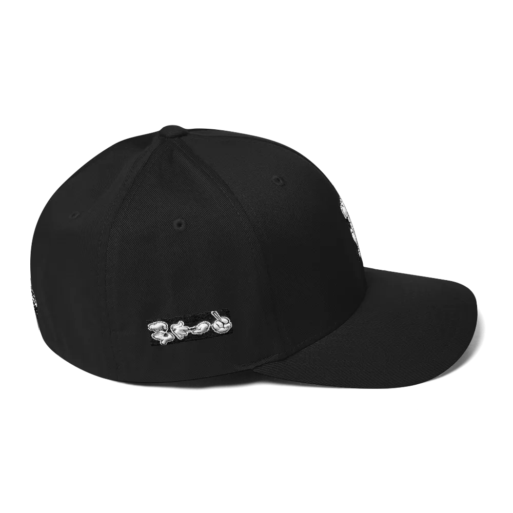 Roll up Dad Hat