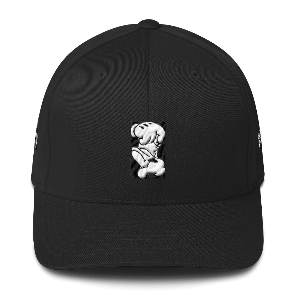 Roll up Dad Hat