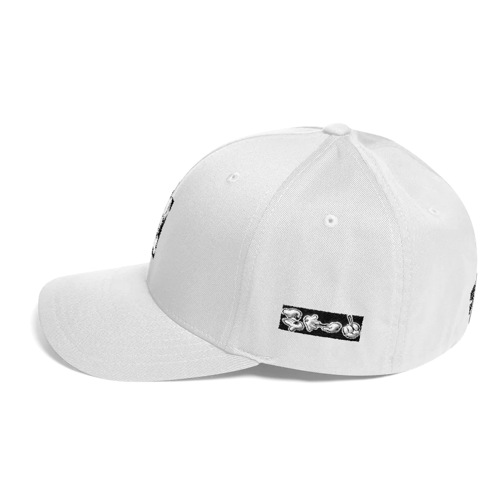 Roll up Dad Hat