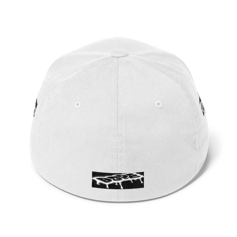 Roll up Dad Hat