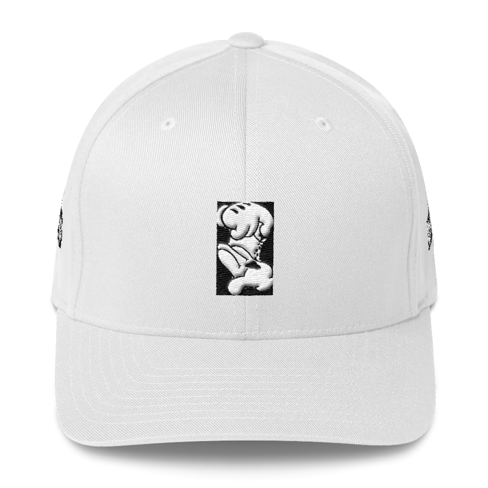 Roll up Dad Hat