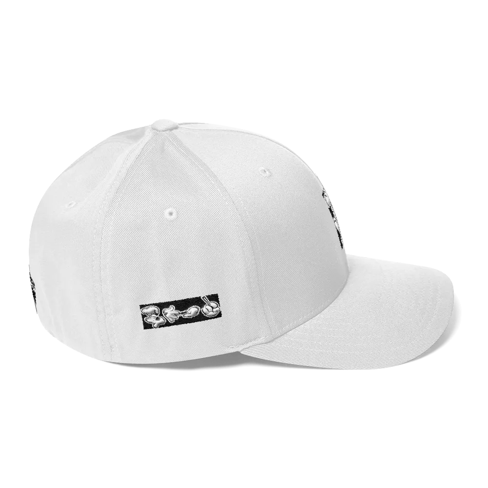 Roll up Dad Hat