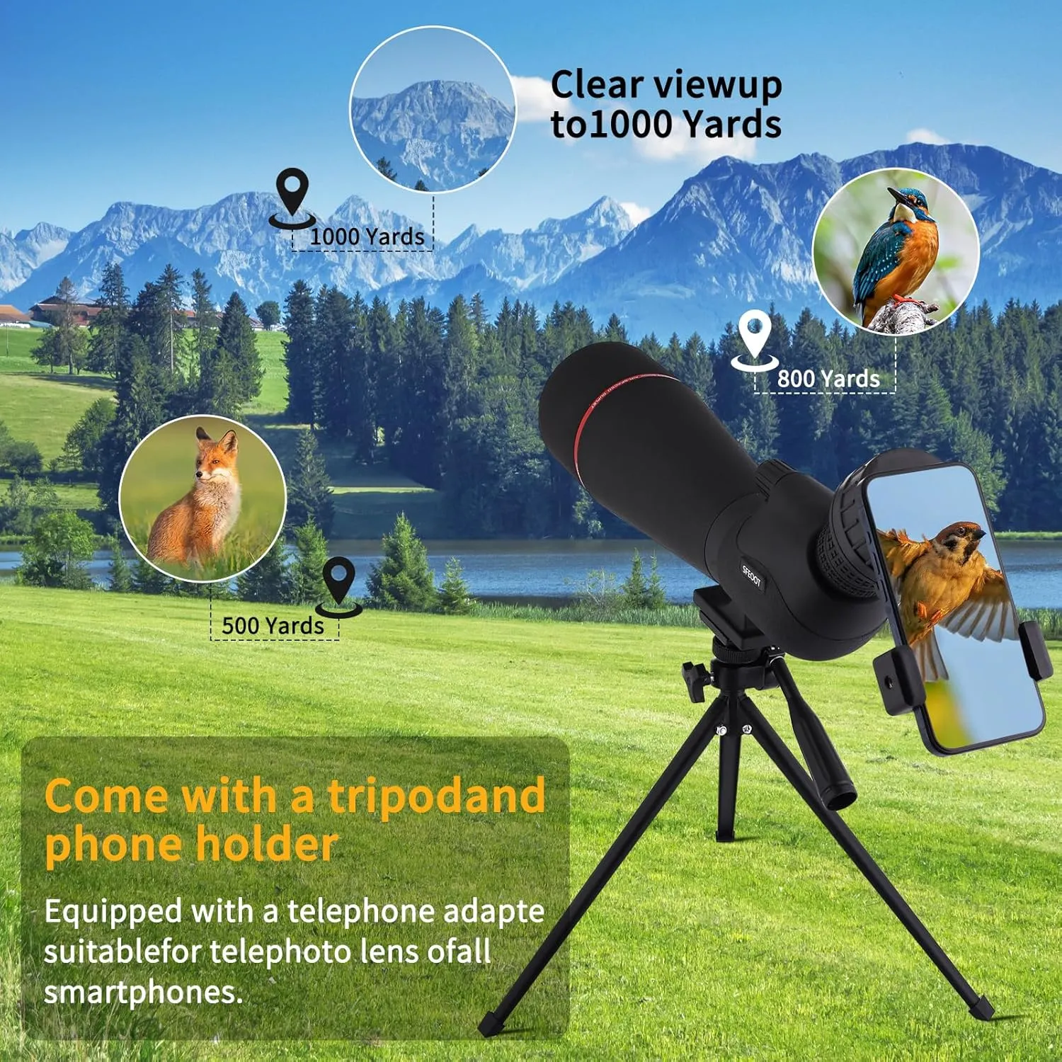 Spotting Scope 25-75x80 HD with Tripod Carrying Pouch and Quick Cell Phone Holder, Clear Image with BAK4 Prism Spotting Scopes for Target Shooting, Bird Watching, Hunting, Wildlife Viewing (Black)