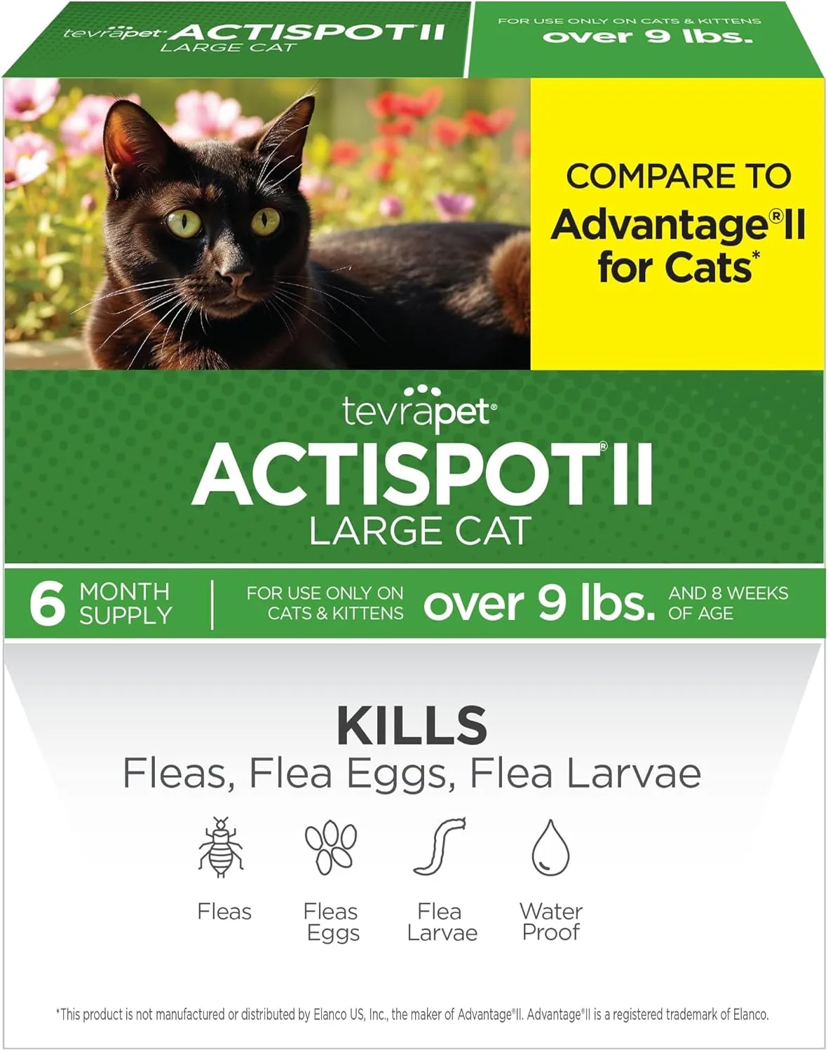 TevraPet Actispot II Flea Treatment for Large Cats 9  lbs | 6 Doses | Powerful Prevention and Control