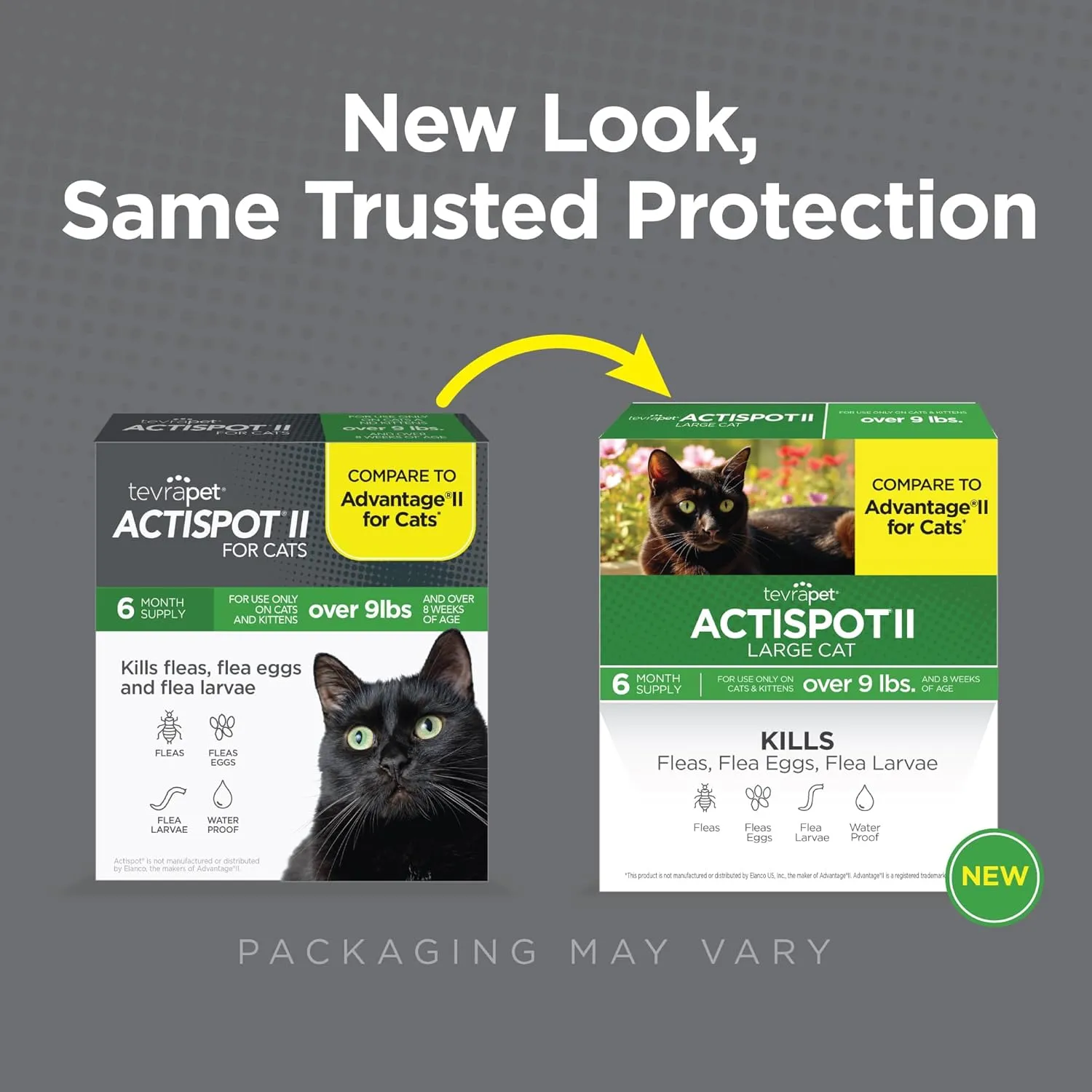 TevraPet Actispot II Flea Treatment for Large Cats 9  lbs | 6 Doses | Powerful Prevention and Control